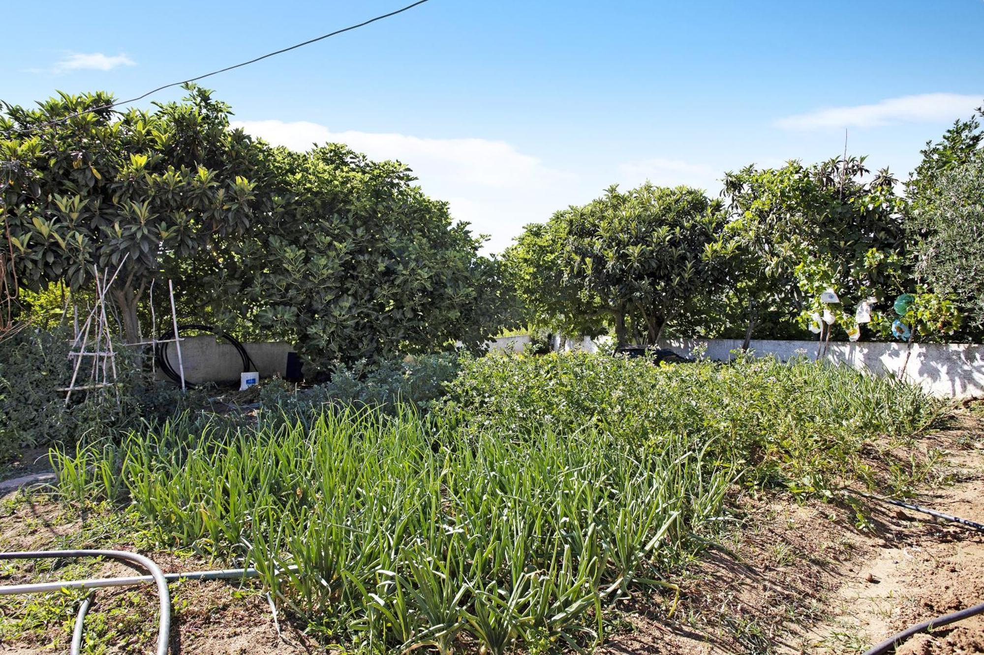 Vivenda Ribeiro - B Holiday home Lagos